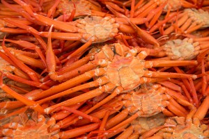 kani