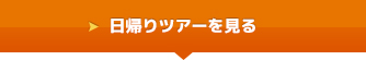 日帰りツアーを見る