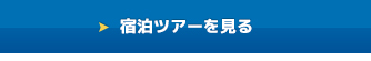 宿泊ツアーを見る