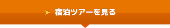 宿泊ツアーを見る