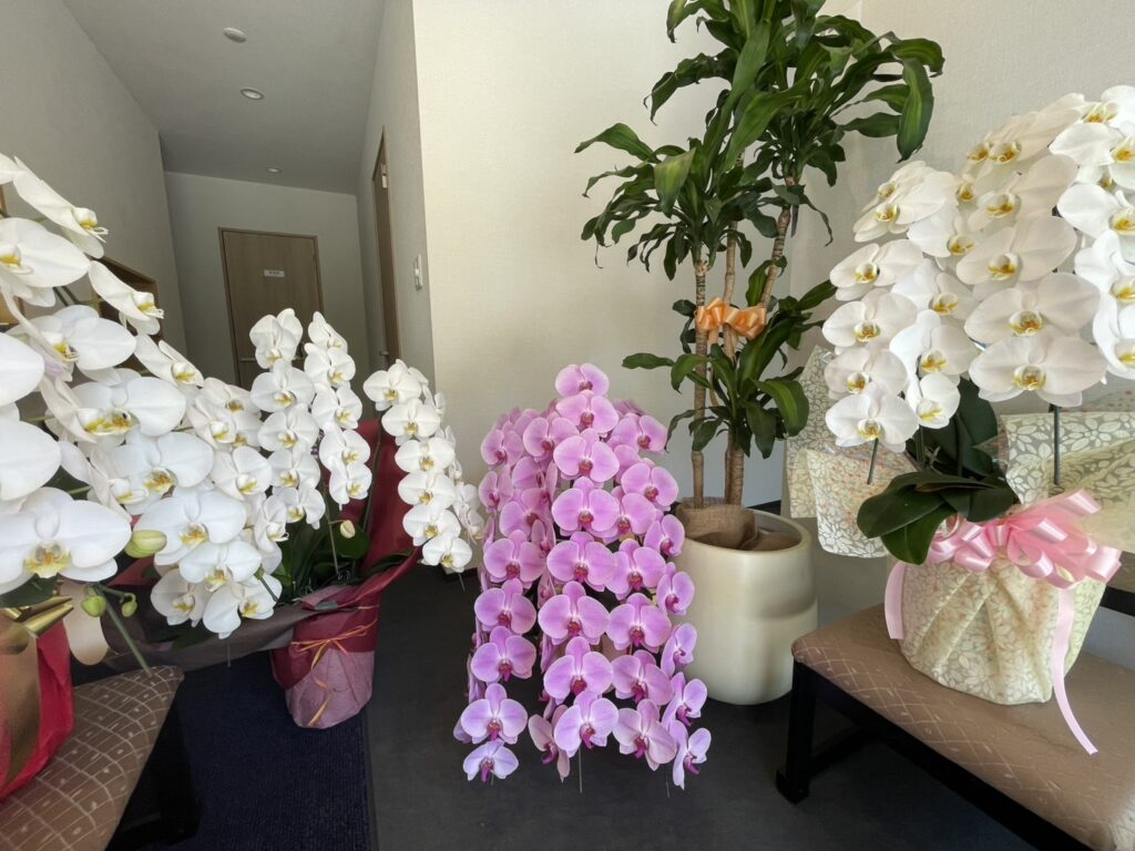 お祝いのお花たち